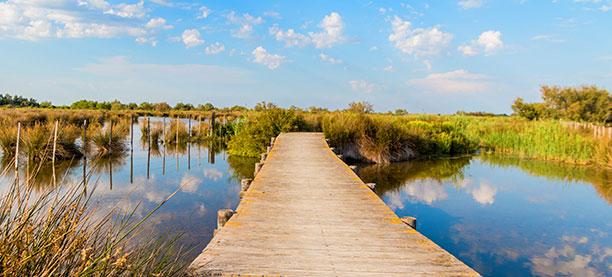 Zone commerciale Camargue